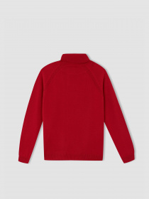 Гольф DeFacto модель R1953A6-RD296 Фото