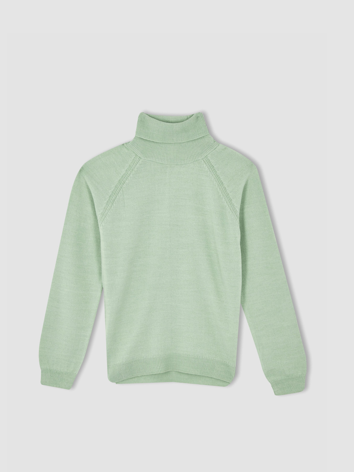 Водолазка DeFacto модель R1953A6-TR375 Фото