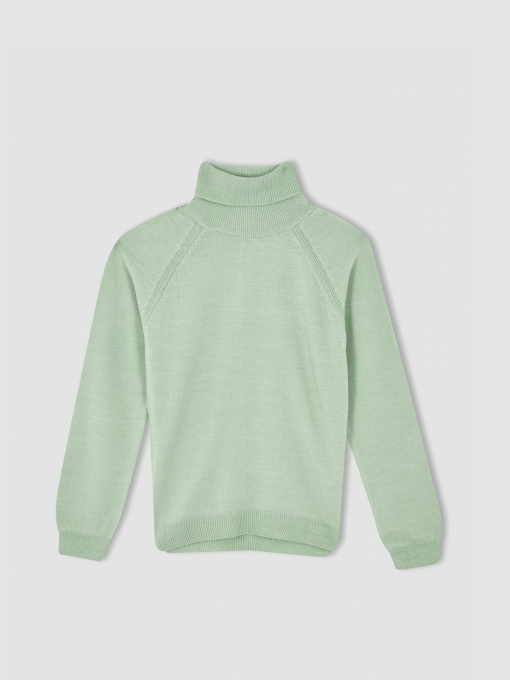 Водолазка DeFacto модель R1953A6-TR375 Фото