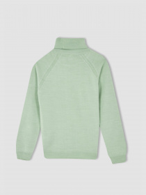 Водолазка DeFacto модель R1953A6-TR375 Фото