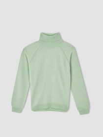 Водолазка DeFacto модель R1953A6-TR375 Фото