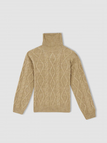 Свитер DeFacto модель R1986A6-BG238 Фото