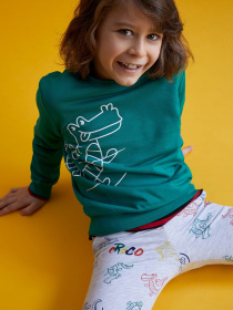 Худи DeFacto модель T7692A6-GN154 Фото