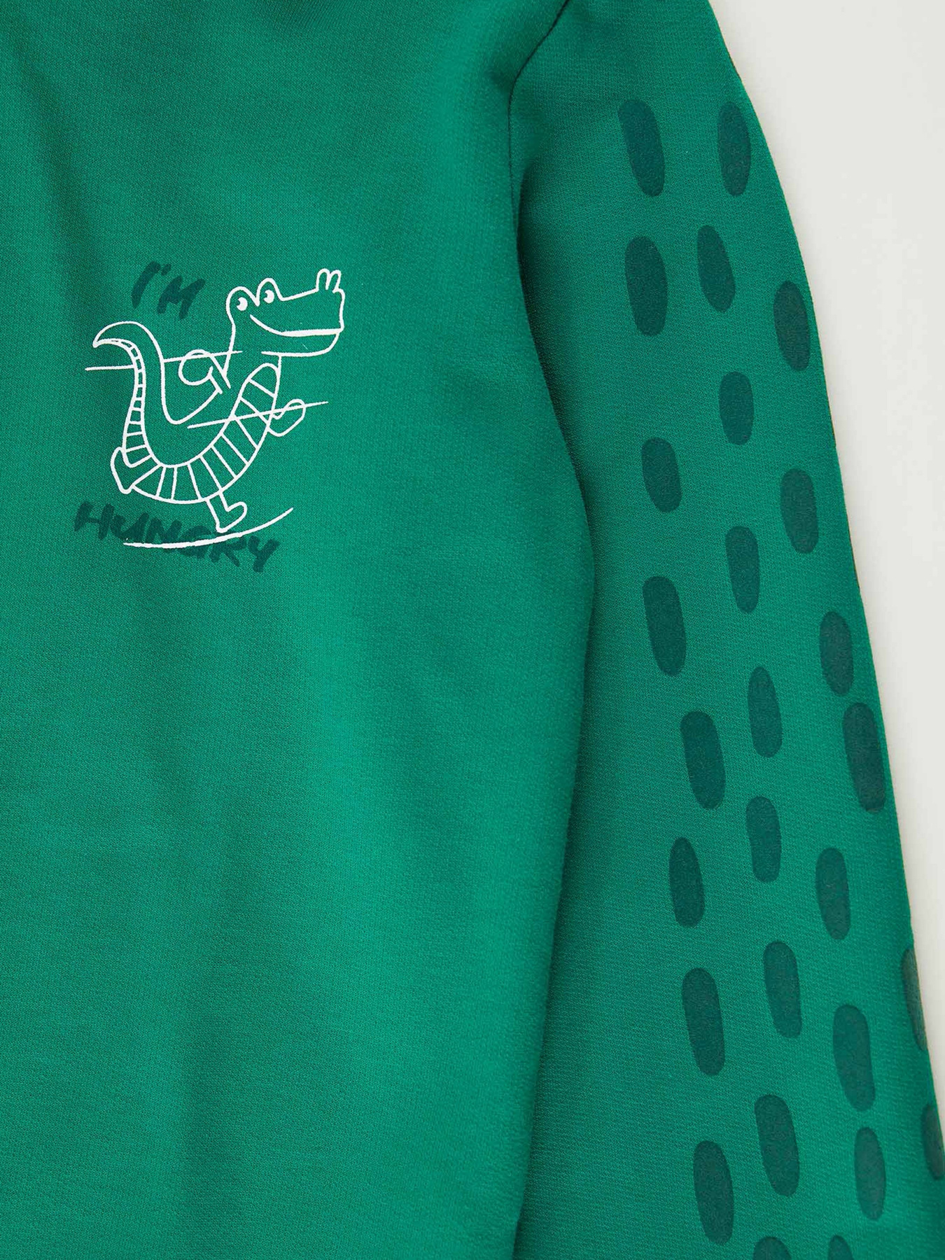 Худи DeFacto модель T7692A6-GN154 Фото