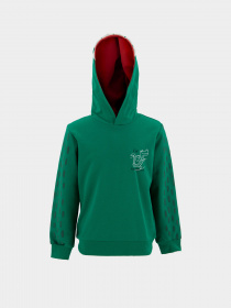 Худи DeFacto модель T7692A6-GN154 Фото