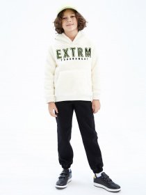 Худи DeFacto модель Y1667A6-ER103 Фото