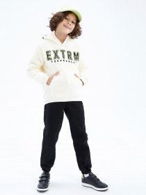 Худи DeFacto модель Y1667A6-ER103 Фото