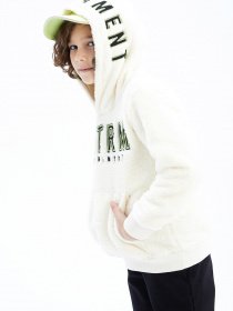 Худи DeFacto модель Y1667A6-ER103 Фото