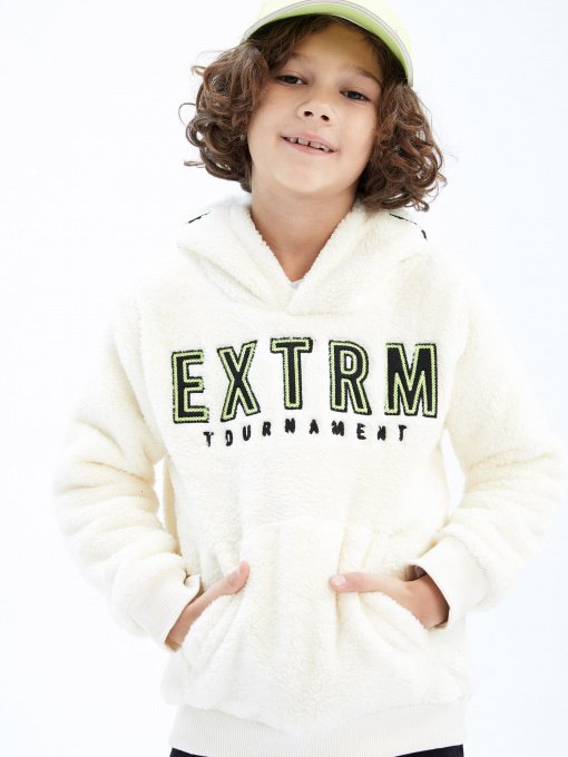 Худи DeFacto модель Y1667A6-ER103 Фото