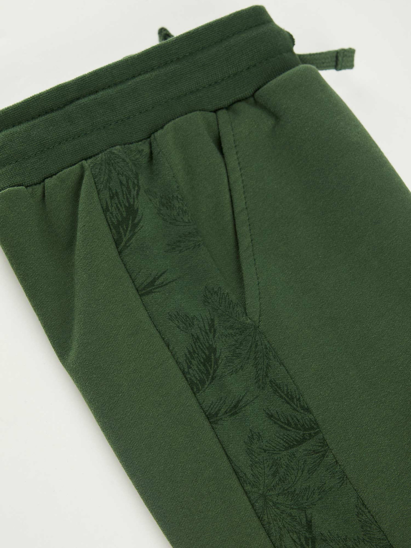 Штаны спортивные DeFacto модель T4535A6-GN196 Фото