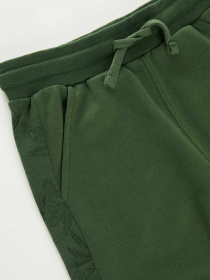 Штаны спортивные DeFacto модель T4535A6-GN196 Фото