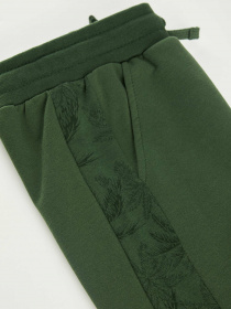 Штаны спортивные DeFacto модель T4535A6-GN196 Фото