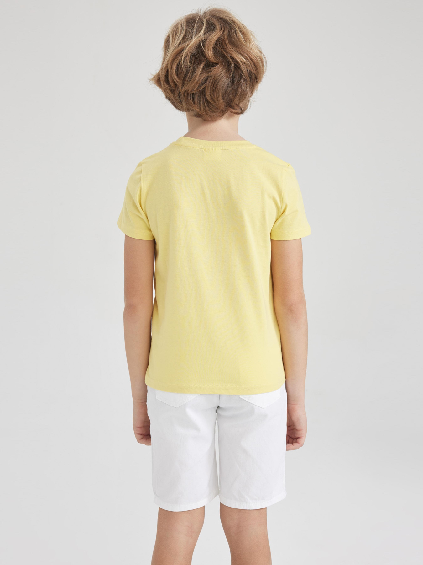 Футболка DeFacto модель K1687A6-YL177 Футболка DeFacto модель K1687A6-YL177 Фото