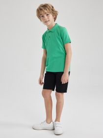 Поло DeFacto модель K1689A6-GN322 Фото