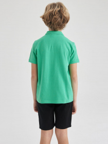 Поло DeFacto модель K1689A6-GN322 Фото