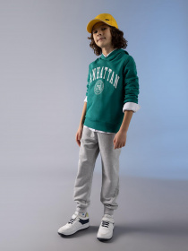 Джогери DeFacto модель W6750A6-GR400 Фото