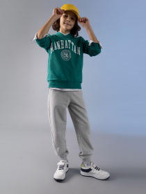 Джогери DeFacto модель W6750A6-GR400 Фото