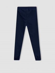 Джогери DeFacto модель W6750A6-NV154 Фото