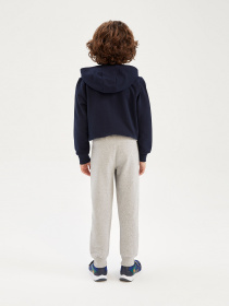 Джоггеры DeFacto модель W6751A6-GR210 Фото