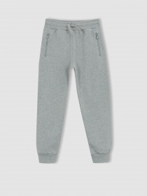 Джоггеры DeFacto модель W6751A6-GR210 Фото