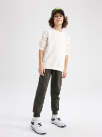 Джогери DeFacto модель W6751A6-KH172 Фото