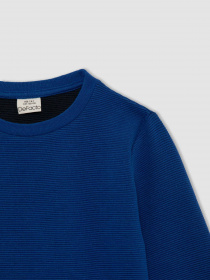 Свитшот DeFacto модель Z2511A6-BE124 Фото