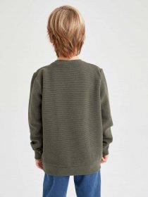 Свитшот DeFacto модель Z2511A6-KH153 Фото