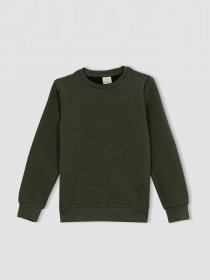 Свитшот DeFacto модель Z2511A6-KH153 Фото