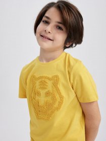 Футболка DeFacto модель Z3064A6-YL203 Фото