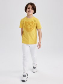 Футболка DeFacto модель Z3064A6-YL203 Фото