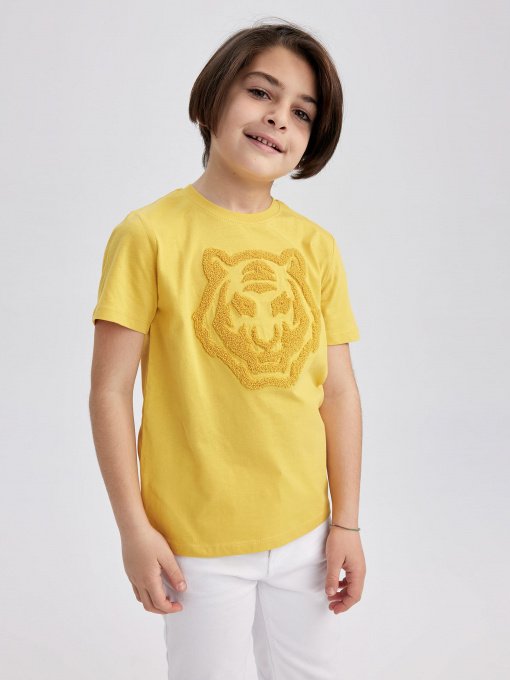 Футболка DeFacto модель Z3064A6-YL203 Фото