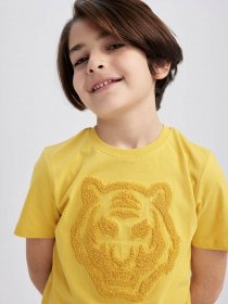 Футболка DeFacto модель Z3064A6-YL203 Фото