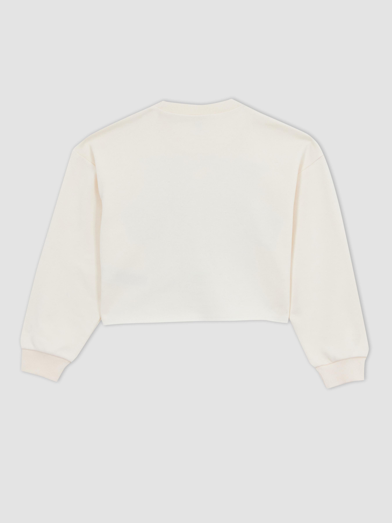 Свитшот DeFacto модель Z4179A6-ER2 Фото