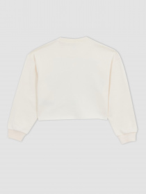 Свитшот DeFacto модель Z4179A6-ER2 Фото