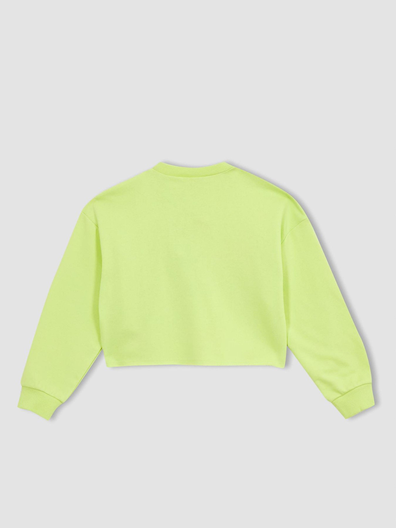 Свитшот DeFacto модель Z4179A6-YL114 Фото