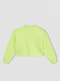 Свитшот DeFacto модель Z4179A6-YL114 Фото