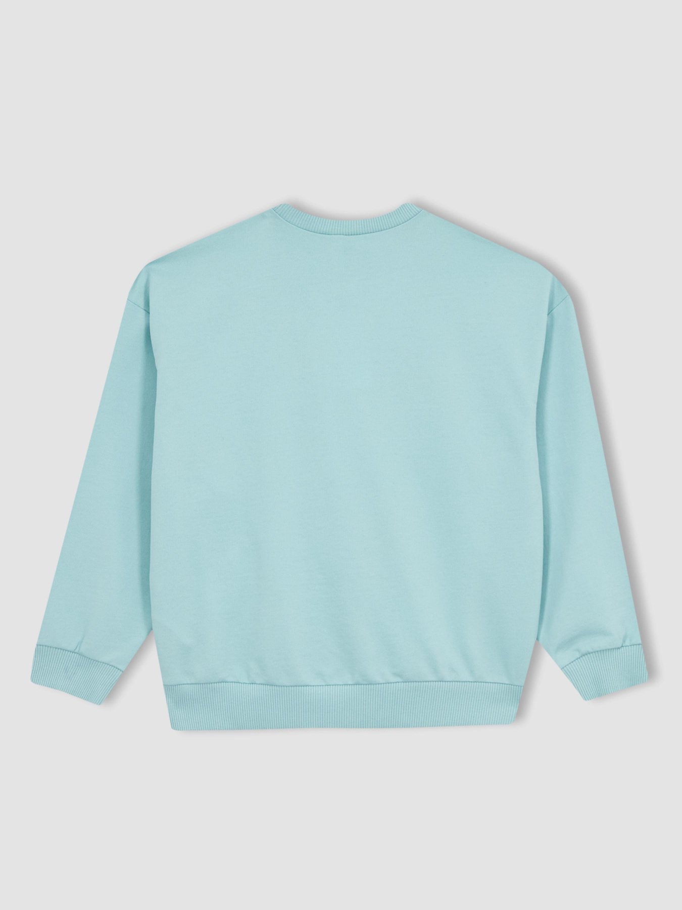 Свитшот DeFacto модель Z4188A6-BE359 Фото