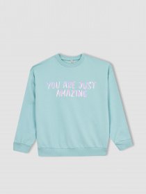 Свитшот DeFacto модель Z4188A6-BE359 Фото