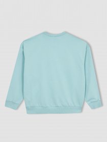 Свитшот DeFacto модель Z4188A6-BE359 Фото