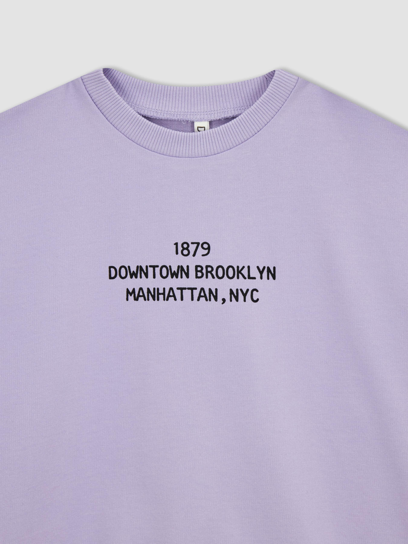 Свитшот DeFacto модель Z4188A6-PR33 Фото