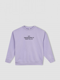 Свитшот DeFacto модель Z4188A6-PR33 Фото