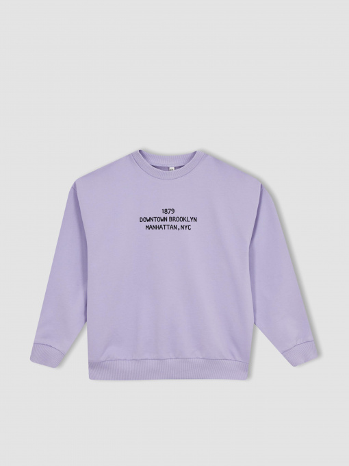 Світшот DeFacto Модель Z4188A6-PR33 Фото