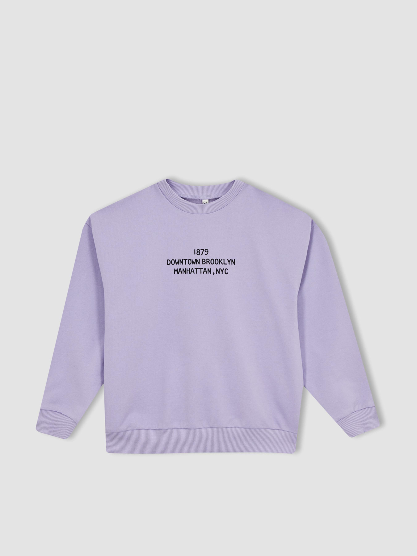 Свитшот DeFacto модель Z4188A6-PR33 Фото