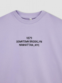 Свитшот DeFacto модель Z4188A6-PR33 Фото