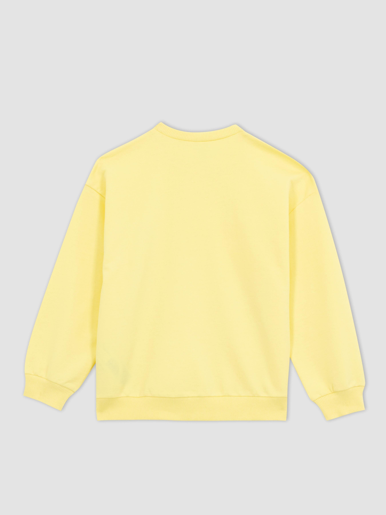 Свитшот DeFacto модель Z4188A6-YL273 Фото