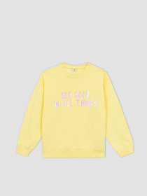 Свитшот DeFacto модель Z4188A6-YL273 Фото