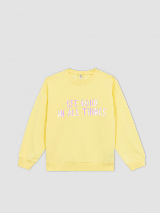 Світшот DeFacto модель Z4188A6-YL273 Фото