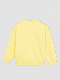 Свитшот DeFacto модель Z4188A6-YL273 Фото