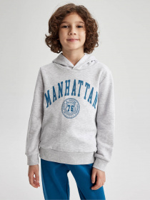 Худи DeFacto модель Z4596A6-GR400 Фото