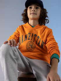 Худи DeFacto модель Z4596A6-OG142 Фото